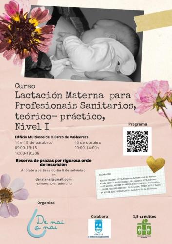 Curso:"Lactancia Materna para profesionales sanitarios, teórico – práctico, Nivel I”